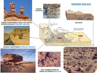 EROSIÓ EÒLICA
                                            EROSIÓ
                                           ALVEOLAR




ROQUES FUNGIFORMES I RESALT DE JUNTES                                          DEFLACIÓ
D’ESTRATIFICACIÓ (CORROSIÓ, ABRASIÓ)




                                                                                  ERG
                                                                     REG



  ROQUES FUNGIFORMES (CORROSIÓ, ABRASIÓ)




                                                 REG, PAVIMENT DESÈRTIC,
                                               DESERT DE PEDRES (DEFLACIÓ)
 