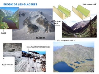 EROSIÓ DE LES GLACERES                                                      VALL FLUVIAL EN V




                                               VALL GLACIAL
                                                   EN U




FIORD

                           GLACERA
                                                   LLACS I ESTANYS GLACIALS



                 ROCA PULIMENTADA I ESTRIADA




BLOC ERRÀTIC
 
