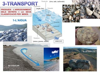 (ions, sals, carbonats)


                                                                          GRAVA
                               (argila, llim)
PRODUEIX L’ARRODONIMENT
DELS DETRITS I LA SEVA
CLASSIFICACIÓ PER MIDES.


         1-L’AIGUA




                           (arena, graves, còdols)           DIRECCIÓ
                                                                                     CÒDOL




                                                                                  BLOC ERRÀTIC




     ES CODOLAR
 