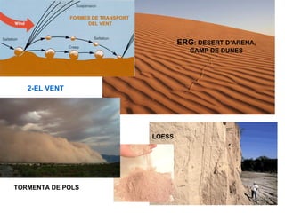 FORMES DE TRANSPORT
                    DEL VENT



                                             ERG: DESERT D’ARENA,
                                                CAMP DE DUNES




   2-EL VENT




                                     LOESS




TORMENTA DE POLS
 