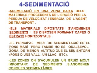 -ACUMULACIÓ EN UNA ZONA BAIXA DELS
MATERIALS PROCEDENTS DE L’EROSIÓ PER LA
PERDUA DE VELOCITAT I ENERGIA DE L’AGENT
DE TRANSPORT .
-ELS MATERIALS DIPOSITATS S’ANOMENEN
SEDIMENTS I ES DISPOSEN FORMANT CAPES O
ESTRATS HORITZONTALS.

-EL PRINCIPAL MEDI DE SEDIMENTACIÓ ÉS EL
FONS MARÍ PERÒ TAMBÉ HO ÉS QUALSEVOL
ZONA DE MENOR ALTITUD QUE EL SEU ENTORN
(FONS D’UNS VALL, UN LLAC, ETC).
-LES ZONES ON S’ACUMULEN UN GRUIX MOLT
IMPORTANT   DE   SEDIMENTS  S’ANOMENEN
CONQUES SEDIMENTÀRIES.
 
