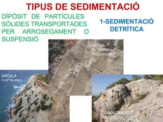 TIPUS DE SEDIMENTACIÓ
DÌPÒSIT DE PARTÍCULES
SÒLIDES TRANSPORTADES        1-SEDIMENTACIÓ
PER ARROSEGAMENT O              DETRÍTICA
SUSPENSIÓ
                         ARENA
                         (SA PEDRERA
                         DES SAVINAR)




ARGILA
(CAP BLANC)




                              CONGLOMERAT
                              (CAP JUEU)
 