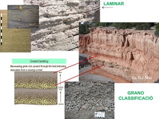 LAMINAR




          Es Bol Nou


        GRANO
     CLASSIFICACIÓ
 