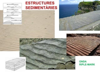 ESTRUCTURES
SEDIMENTÀRIES




                ONDA
                RIPLE-MARK
 