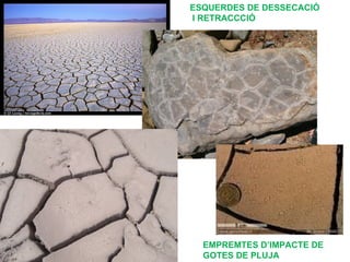 ESQUERDES DE DESSECACIÓ
I RETRACCCIÓ




  EMPREMTES D’IMPACTE DE
  GOTES DE PLUJA
 