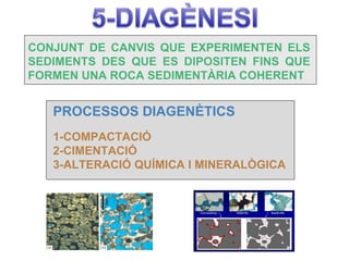 CONJUNT DE CANVIS QUE EXPERIMENTEN ELS
SEDIMENTS DES QUE ES DIPOSITEN FINS QUE
FORMEN UNA ROCA SEDIMENTÀRIA COHERENT


   PROCESSOS DIAGENÈTICS
   1-COMPACTACIÓ
   2-CIMENTACIÓ
   3-ALTERACIÓ QUÍMICA I MINERALÒGICA
 