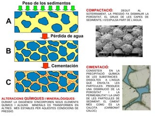 COMPACTACIÓ:            DEGUT       AL
                                                 SOTERRAMENT, LA PRESSIÓ FA DISMINUIR LA
                                                 POROSITAT, EL GRUIX DE LES CAPES DE
                                                 SEDIMENTS, I S’EXPULSA PART DE L’AIGUA.




                                                 CIMENTACIÓ:
                                                 CONSISTEIX       EN LA
                                                 PRECIPITACIÓ   QUÍMICA
                                                 DE LES SUBSTÀNCIES
                                                 DISSOLTES    A L’AIGUA
                                                 QUE     ENVOLTA     LES
                                                 PARTÍCULES. PRODUEIX
                                                 UNA DISMINUCIÓ DE LA
                                                 POROSITAT      I     LA
                                                 PERMEABILITAT I LA UNIÓ
ALTERACIONS QUÍMIQUES I MINERALÒGIQUES:          DE LES PARTÍCULES DE
DURANT LA DIAGÈNESI S’INCORPOREN NOUS ELEMENTS   SEDIMENT. EL CIMENT
QUÍMICS I ALGUNS  MINERALS ES TRANSFORMEN EN     MÉS    COMÚ    ÉS    LA
ALTRES MÉS ESTABLES PER AQUESTES CONDICIONS DE   CALCITA     (CARBONAT
PRESSIÓ.                                         CÀLCIC)
 