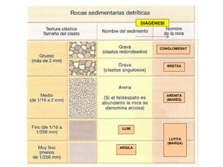 DIAGÈNESI




                CONGLOMERAT




                     BRETXA




                     ARENITA
                     (MARÉS)




 LLIM


                      LUTITA
                     (MARGA)
ARGILA
 