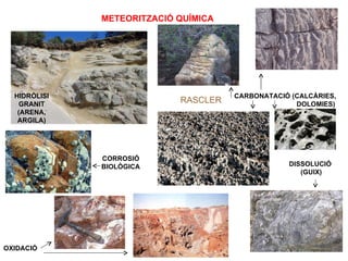 METEORITZACIÓ QUÍMICA




  HIDRÒLISI                           CARBONATACIÓ (CALCÀRIES,
    GRANIT
                            RASCLER                 DOLOMIES)
   (ARENA,
   ARGILA)




              CORROSIÓ
              BIOLÒGICA                           DISSOLUCIÓ
                                                     (GUIX)




OXIDACIÓ
 