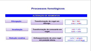 Processos Fonológicos
