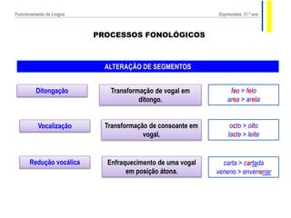 PROCESSOS FONOLÓGICOS
ALTERAÇÃO DE SEGMENTOS
Ditongação
Vocalização
Redução vocálica
Transformação de vogal em
ditongo.
Transformação de consoante em
vogal.
Enfraquecimento de uma vogal
em posição átona.
feo > feio
area > areia
octo > oito
lacte > leite
carta > cartada
veneno > envenenar
Expressões, 11.º anoFuncionamento da Língua
 