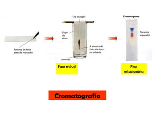 Fase móvelFase estacionáriaCromatografia
