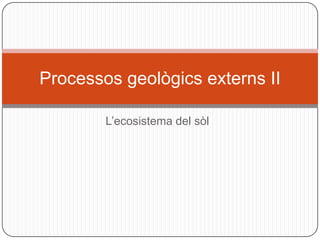 Processos geològics externs II

        L’ecosistema del sòl
 