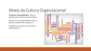 Níveis da Cultura Organizacional
• Valores compartilhados - São os
valores que se tornam importantes e
passam a ser compartilhados com os
demais membros da empresa. O
fundador da empresa, por todos os
colaboradores.
 