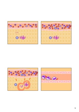 5 
HHIISSTTAAMMIINNAA 
PLASMA 
 