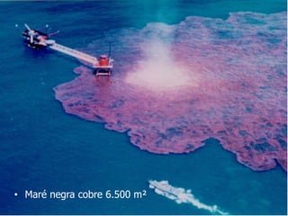 • Maré negra cobre 6.500 m²
 