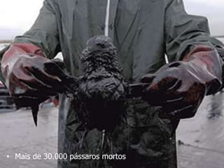 • Mais de 30.000 pássaros mortos
 