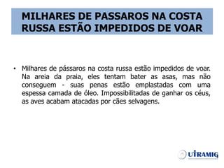 MILHARES DE PASSAROS NA COSTA
RUSSA ESTÃO IMPEDIDOS DE VOAR
• Milhares de pássaros na costa russa estão impedidos de voar.
Na areia da praia, eles tentam bater as asas, mas não
conseguem - suas penas estão emplastadas com uma
espessa camada de óleo. Impossibilitadas de ganhar os céus,
as aves acabam atacadas por cães selvagens.
 