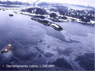 • Derramamento cobriu 1.200 Km²
 