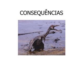 CONSEQUÊNCIAS
 