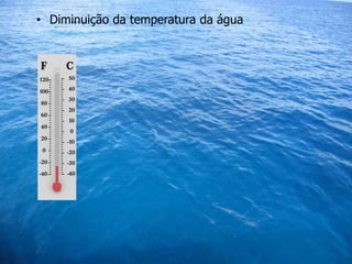 • Diminuição da temperatura da água
 
