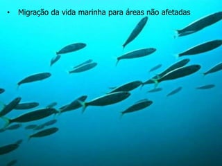 • Migração da vida marinha para áreas não afetadas
 