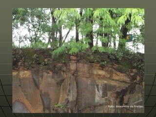 Foto: Alexandre de Freitas
 