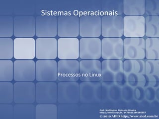 Sistemas Operacionais




    Processos no Linux
 