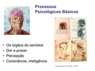 Processos
Psicológicos Básicos
• Os órgãos do sentidos
• Dor e prazer
• Percepção
• Consciência, inteligência
Leonardo da ...