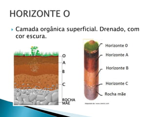  Camada orgânica superficial. Drenado, com
cor escura.
 