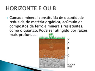  Camada mineral constituída de quantidade
reduzida de matéria orgânica, acúmulo de
compostos de ferro e minerais resistentes,
como o quartzo. Pode ser atingido por raízes
mais profundas.
 