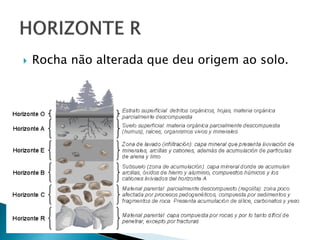  Rocha não alterada que deu origem ao solo.
 