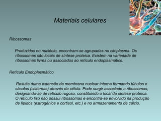 Materiais celulares Ribossomas Produzidos no nucléolo, encontram-se agrupadas no citoplasma. Os ribossomas são locais de síntese proteica. Existem na variedade de ribossomas livres ou associados ao retículo endoplasmático. Retículo Endoplasmático    Resulta duma extensão da membrana nuclear interna formando túbulos e sáculos (cisternas) através da célula. Pode surgir associado a ribossomas, designando-se de retículo rugoso, constituindo o local da síntese proteíca. O retículo liso não possui ribossomas e encontra-se envolvido na produção de lípidos (estrogénios e cortisol, etc.) e no armazenamento de cálcio. 