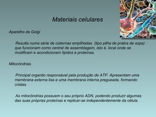 Materiais celulares Aparelho de Golgi Resulta numa série de cisternas empilhadas  (tipo pilha de pratos de sopa) que funcionam como central de assemblagem, isto é, local onde se modificam e acondicionam lípidos e proteínas.  Mitocôndrias Principal organito responsável pela produção de ATP. Apresentam uma membrana externa lisa e uma membrana interna pregueada, formando cristas.  As mitocôndrias possuem o seu próprio ADN, podendo produzir algumas das suas próprias proteínas e replicar-se independentemente da célula. 
