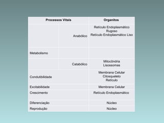 Processos Vitais Organitos  Anabólico Retículo Endoplasmático Rugoso Retículo Endoplasmático Liso Metabolismo Catabólico Mitocôndria Lisossomas Condutibilidade Membrana Celular Citosqueleto Retículo Excitabilidade Membrana Celular Crescimento Retículo Endoplasmático  Diferenciação Núcleo Reprodução Núcleo 
