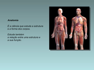 Anatomia É a ciência que estuda a estrutura e a forma dos corpos.  Estuda também a relação entre uma estrutura e  a sua função. 