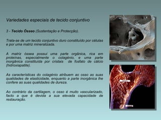 Variedades especiais de tecido conjuntivo 3 -  Tecido Ósseo  (Sustentação e Protecção). Trata-se de um tecido conjuntivo duro constituído por células e por uma matriz mineralizada.  A matriz óssea possui uma parte orgânica, rica em proteínas, especialmente o colagénio, e uma parte inorgânica constituída por cristais  de fosfato de cálcio (hidroxiapatite).  As características do colagénio atribuem ao osso as suas qualidades de elasticidade, enquanto a parte inorgânica lhe confere as suas qualidades de dureza.  Ao contrário da cartilagem, o osso é muito vascularizado, facto a que é devida a sua elevada capacidade de restauração. 