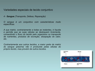 Variedades especiais de tecido conjuntivo 4 -  Sangue  (Transporte, Defesa, Reparação) O sangue é um conjuntivo com características muito específicas.  A sua matriz, contrariamente a todas as restantes, é líquida e permite que as suas células se desloquem livremente, consentindo o fluxo do tecido pelo organismo no transporte de nutrientes, produtos de excreção, dissipação do calor, etc.  Contrariamente aos outros tecidos, a maior parte da matriz do sangue (plasma) não é produzida pelas células do próprio tecido, mas provém de outros tecidos. 