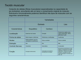 Tecido muscular Conjunto de células (fibras musculares) especializadas na capacidade de  se contraírem, encurtando até um terço o comprimento original do músculo.  Estrutural e funcionalmente podemos identificar três tipos de músculos com as  seguintes características. Variedades Estriado Liso Características Esquelético Cardíaco Localização Insere-se nos ossos Coração Parede dos orgãos ocos, vasos sanguíneos, olhos, glândulas e pele Forma da célula Muito longas e cilindricas Cilindricas e ramificadas Fusiformes Núcleo Multinucleadas (sincício verdadeiro) e periféricos Único e central Único e central Estriação Sim Sim Não Controlo Nervoso Voluntário Automático Involuntário Função Produção de Movimento Contracção do miocárdio e bombeamento do sangue Movimentos dos alimentos no tubo digestivo, esvaziamento da bexiga, regulação do diâmetro dos vasos sanguíneos, mudança do tamanho da pupila, contração de muitos canais glandulares, movimento dos pêlos, etc. 