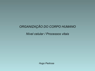 Nível celular / Processos vitais Hugo Pedrosa ORGANIZAÇÃO DO CORPO HUMANO 