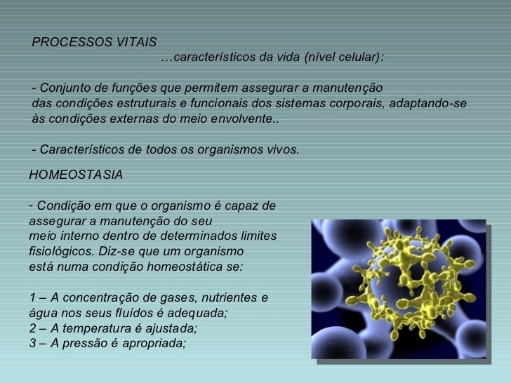 Quais São As Funções Vitais Básicas Dos Seres Vivos