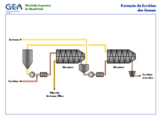 Mechanical Separation
Division
Westfalia Separator
do Brasil Ltda
Lecitina
semóleo
Acetona
Lecitina
Miscela:
Acetona /Óleo
Decanter Decanter
Extração da Lecitina
das Gomas
 