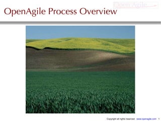 OpenAgile Process Overview 