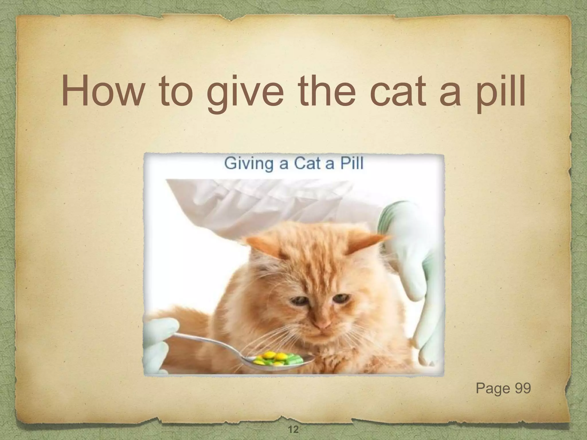 How to give the cat a pill
Page 99
12