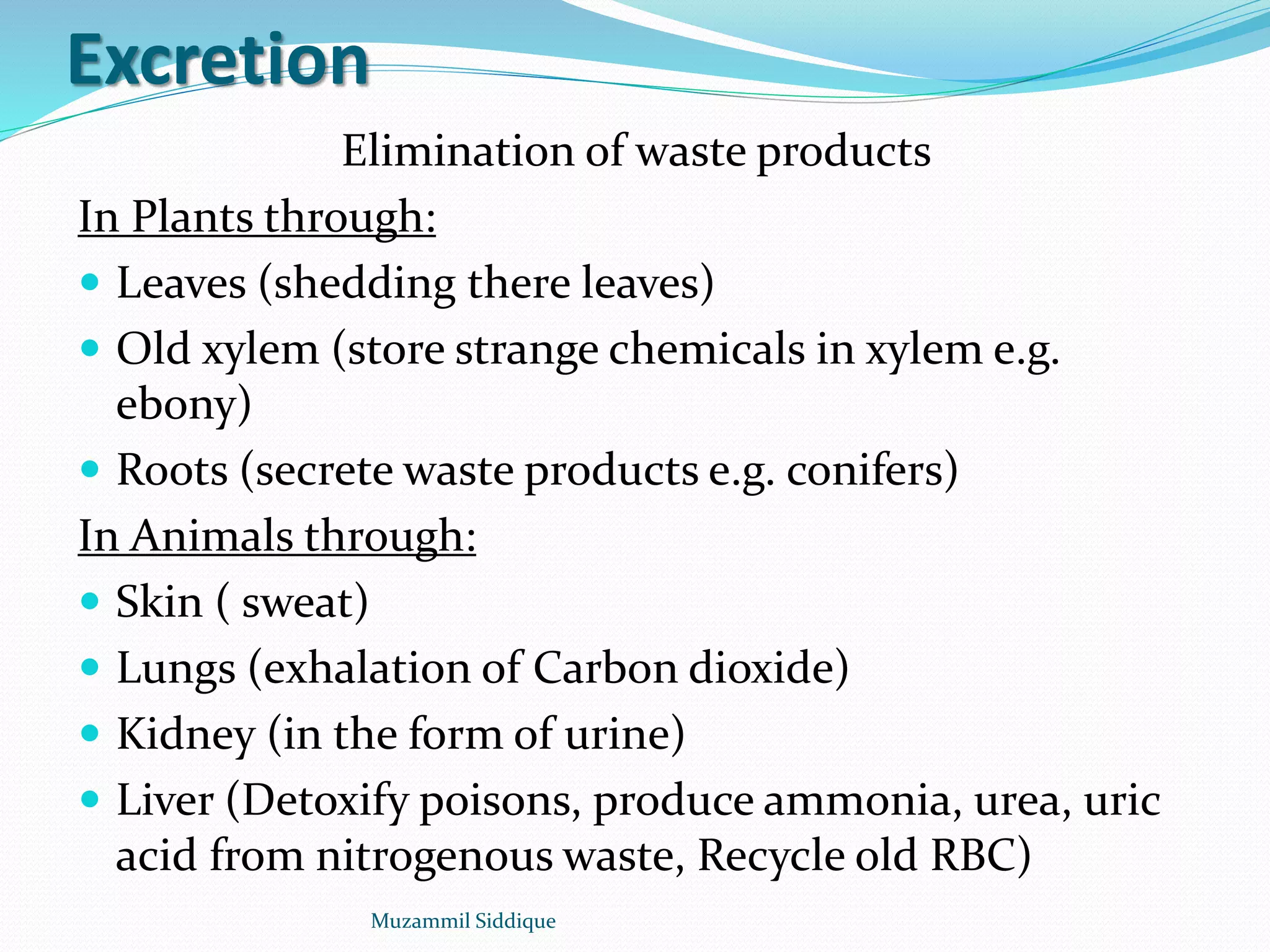Excretion
Elimination of waste products
In Plants through:
 Leaves (shedding there leaves)
 Old xylem (store strange chemicals in xylem e.g.
ebony)
 Roots (secrete waste products e.g. conifers)
In Animals through:
 Skin ( sweat)
 Lungs (exhalation of Carbon dioxide)
 Kidney (in the form of urine)
 Liver (Detoxify poisons, produce ammonia, urea, uric
acid from nitrogenous waste, Recycle old RBC)
Muzammil Siddique
 