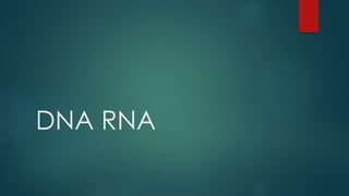 DNA RNA
 