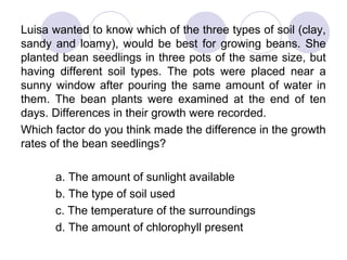 Luisa wanted to know which of the three types of soil (clay,
sandy and loamy), would be best for growing beans. She
planted bean seedlings in three pots of the same size, but
having different soil types. The pots were placed near a
sunny window after pouring the same amount of water in
them. The bean plants were examined at the end of ten
days. Differences in their growth were recorded.
Which factor do you think made the difference in the growth
rates of the bean seedlings?
a. The amount of sunlight available
b. The type of soil used
c. The temperature of the surroundings
d. The amount of chlorophyll present
 