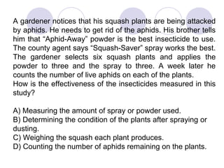 A gardener notices that his squash plants are being attacked
by aphids. He needs to get rid of the aphids. His brother tells
him that “Aphid-Away” powder is the best insecticide to use.
The county agent says “Squash-Saver” spray works the best.
The gardener selects six squash plants and applies the
powder to three and the spray to three. A week later he
counts the number of live aphids on each of the plants.
How is the effectiveness of the insecticides measured in this
study?
A) Measuring the amount of spray or powder used.
B) Determining the condition of the plants after spraying or
dusting.
C) Weighing the squash each plant produces.
D) Counting the number of aphids remaining on the plants.
 