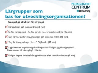 Lärgrupper som
bas för utvecklingsorganisationen?
Exempel på struktur för lärgrupp 
Introduktion och mötesordning (5 min)
Så här har jag gjort – Så här går det nu.... Erfarenhetsutbyte (35 min).
Det här har jag lärt mig, slutsatser och lärdomar hittills (15 min).

”Ny forskning och nya rön......” Påfyllnad.... (50 min).

Upprättandet av personliga handlingsplaner:Vad gör jag i barngruppen/
klassrummet till nästa gång? (10 min).

Vad gav dagens lärmöte? Gruppreﬂektion eller samtalsreﬂektion (5 min)

 
