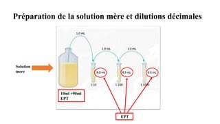 Processus de fermentation spontanee[1].pptx